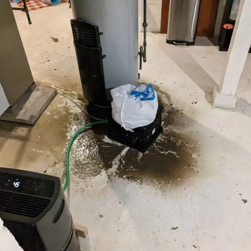 Sewage Backup Cleanup Service in Beggs, OK